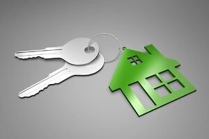 Immobilienbranche 2025
